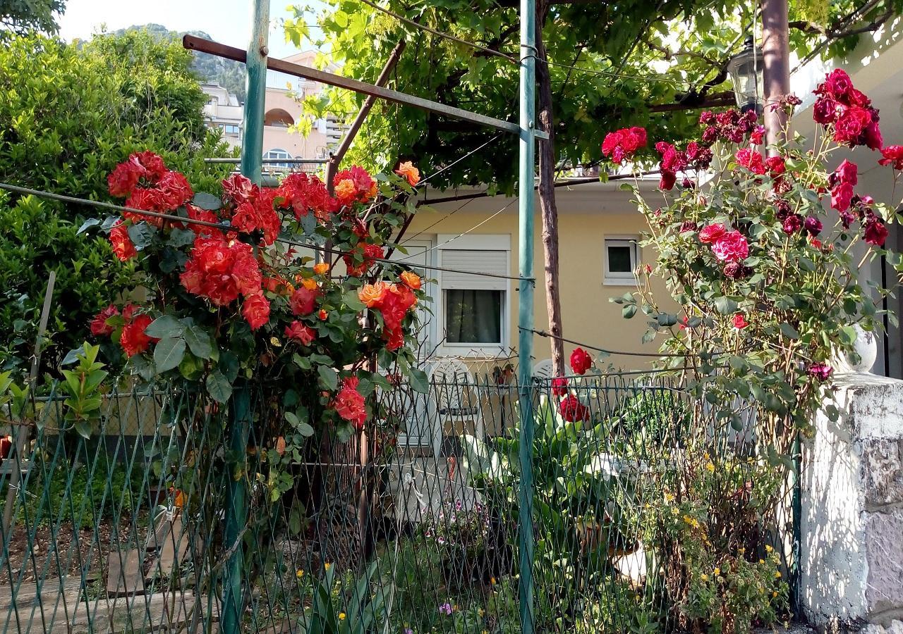 Apartman Lora Budva Zewnętrze zdjęcie